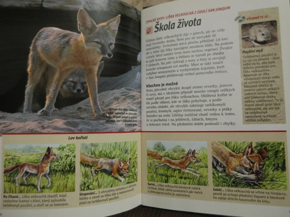 LIŠKY, PŘÍBĚH Z HOLLYWOODU, DVD FILM DOKUMENT