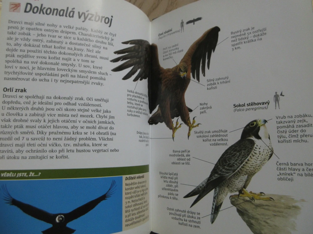 DRAVCI, KRÁLOVÉ NEBES, DVD FILM DOKUMENT