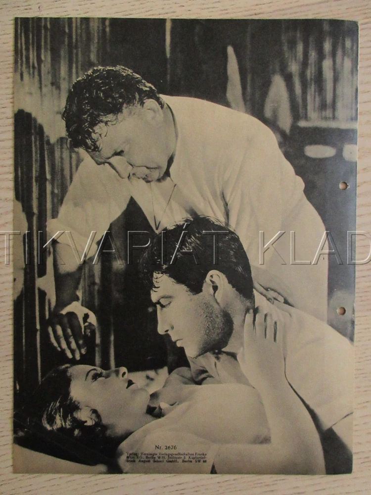 HIS BROTHER'S WIFE, B. STANWYCK, R. TAYLOR, J. HERSHOLT, FILM USA, FILM KURIER VBŠ Č. 2676