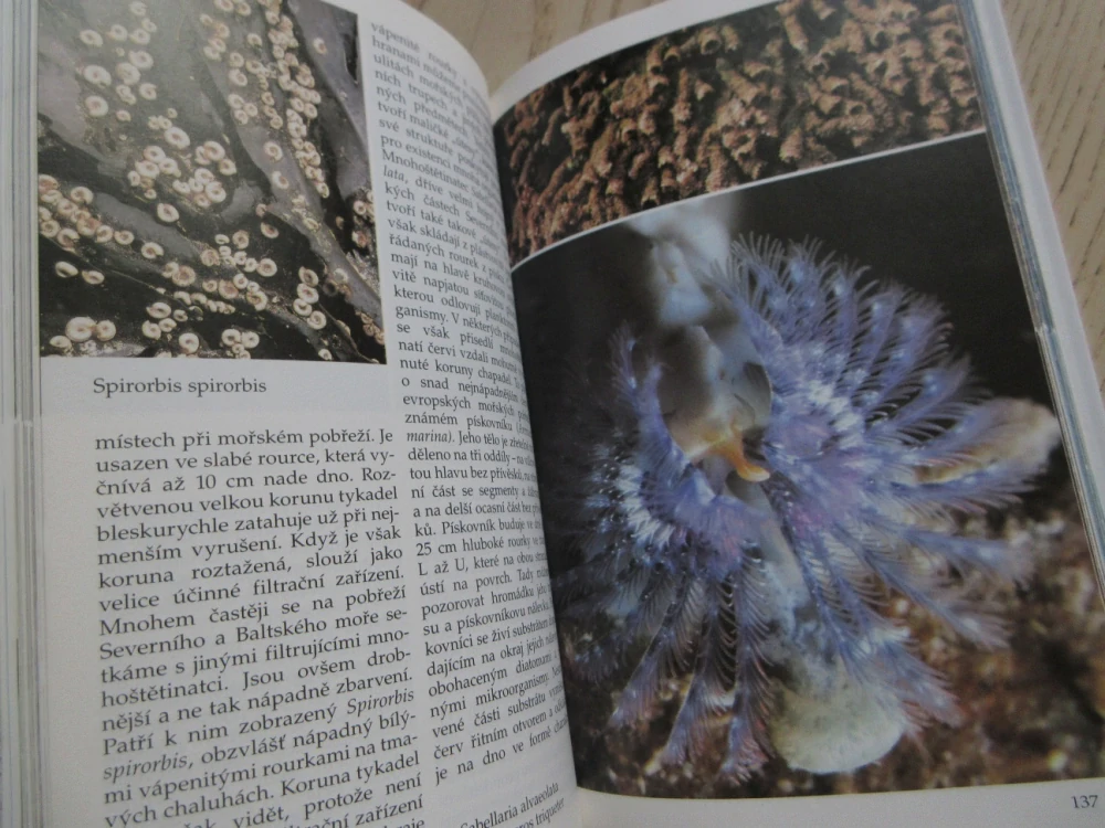 MOŘE A POBŘEŽÍ, PRŮVODCE PŘÍRODOU, JOSEF REICHHOLF, KLAUS JANKE, BRUNO P. KREMER, **an