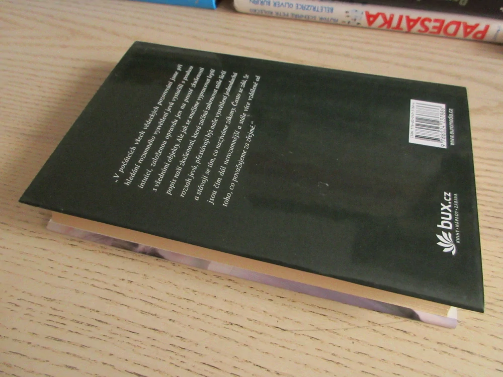 RICHARD FEYNMAN A KVANTOVÝ SVĚT, LAWRENCE M. KRAUSS, **an