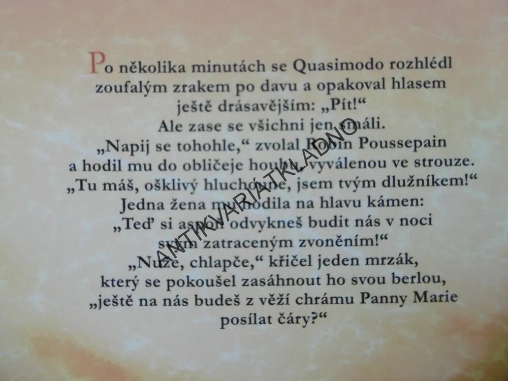 CHRÁM MATKY BOŽÍ V PAŘÍŽI, VICTOR HUGO