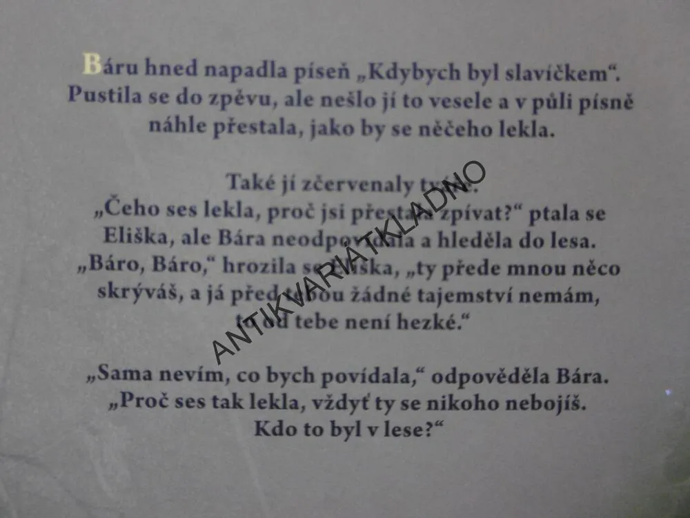 DIVÁ BÁRA A JINÉ PRÓZY, BOŽENA NĚMCOVÁ, **an