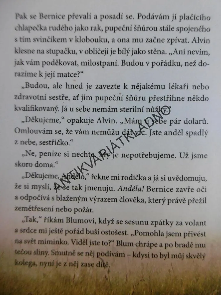 PORODNÍ BÁBOU PROTI SVÉ VŮLI, PATRICIA HARMANOVÁ
