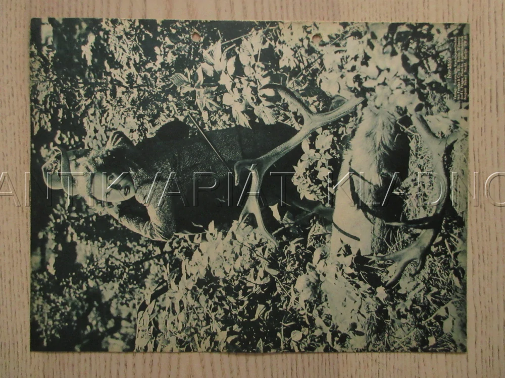 STÄRKER ALS DIE LIEBE, K. HARDT, P. WEGENER, E. WESENER, FILM NĚM. ŘÍŠE, FILM KURIER VBŠ Č. 2859
