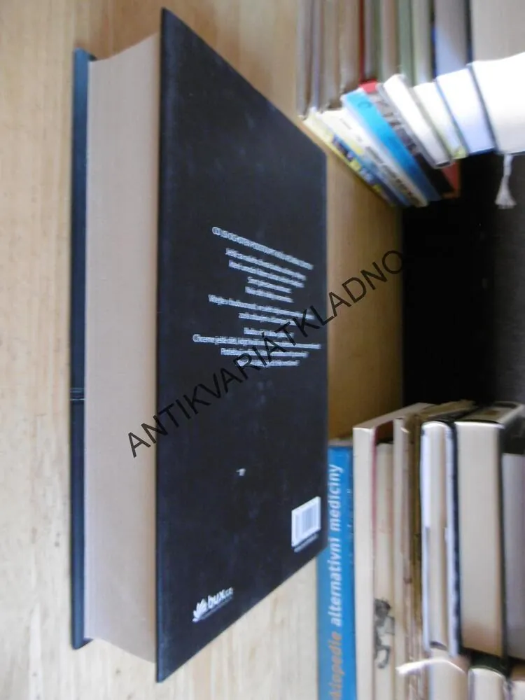 BUDOUCNOST, DMITRY GLUKHOVSKY, APOKALYPTICKÝ BESTSELLER, **an