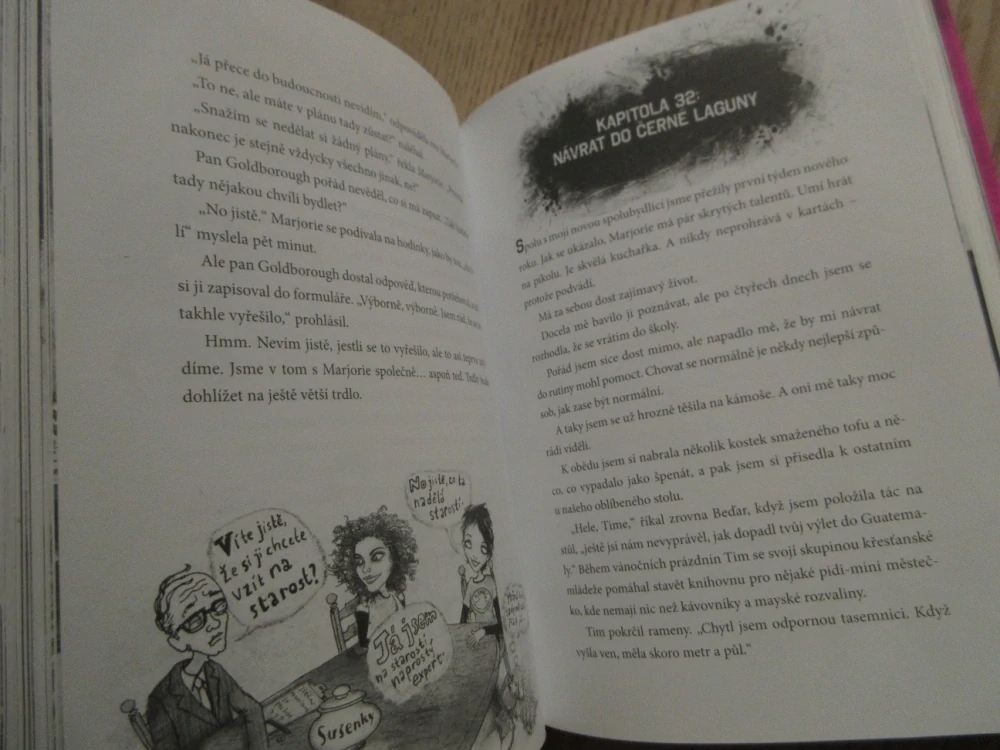 DENÍČEK ŠÍLENÝ HOLKY, JAMES PATTERSON, LISA PAPADEMETRION, **an