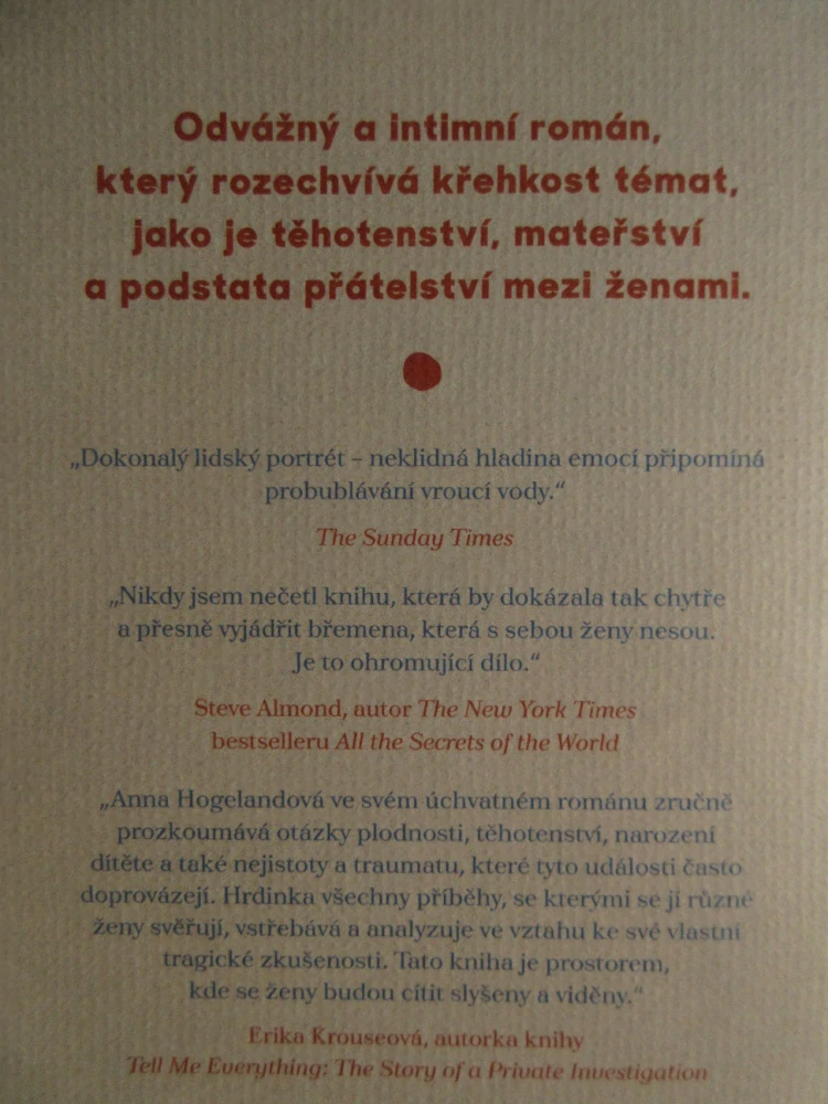 NA DLOUHÉ POVÍDÁNÍ, ANNA HOGELANDOVÁ, **an