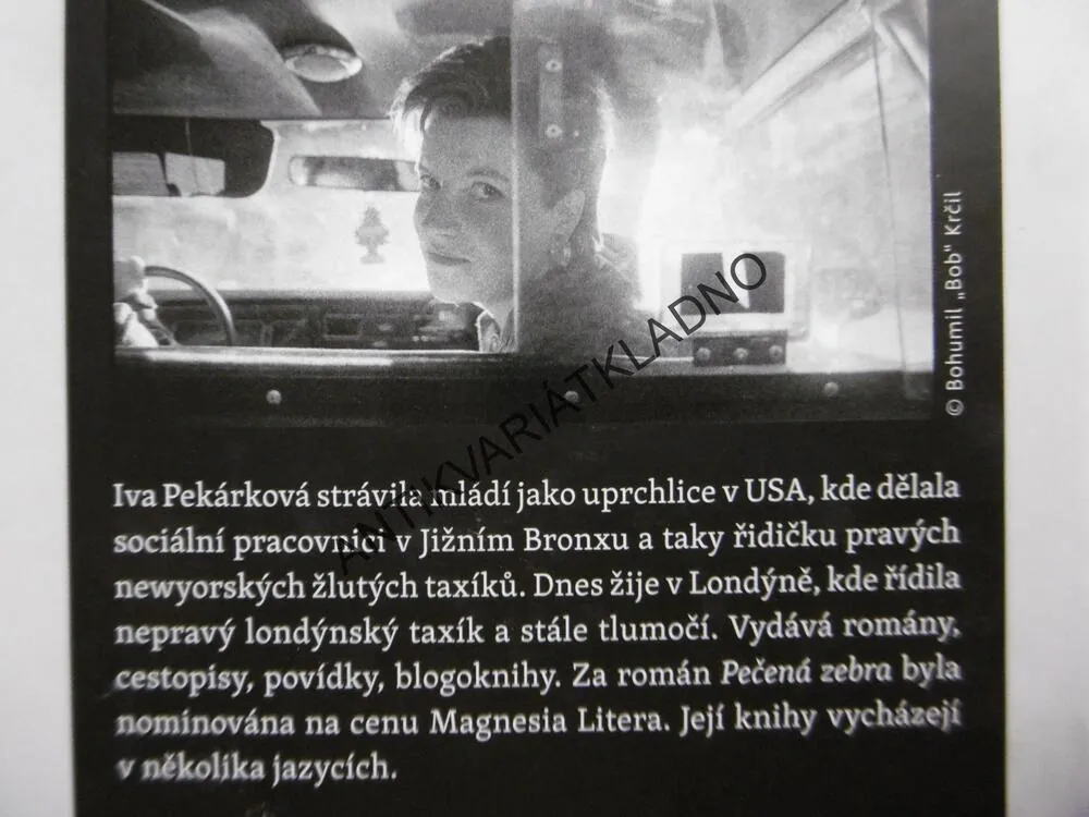 MŮJ I.Q., MĚSTO NEW YORK A JEDNA DIVNÁ LÁSKA, IVA PEKÁRKOVÁ, **an