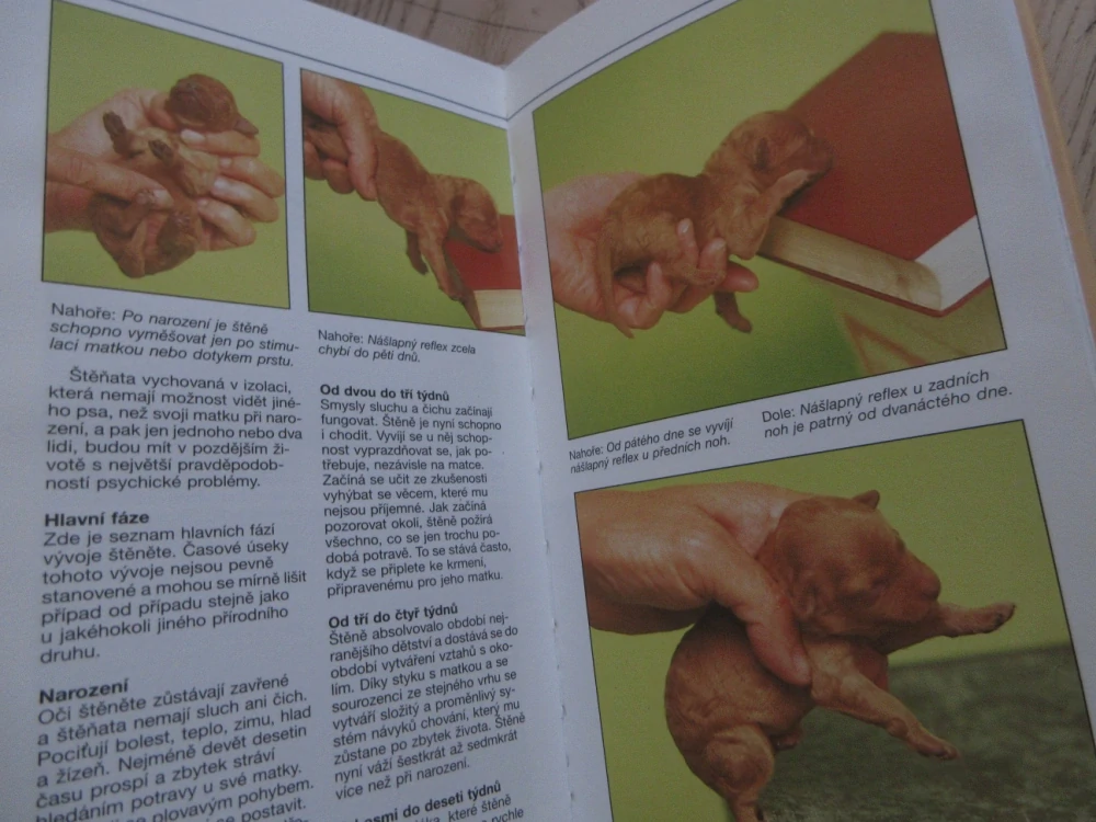 VÁŠ PES A ŠTĚŇÁTKO, PRAKTICKÁ PŘÍRUČKA, ANDREW EDNEY, ROGER MUGFORD, **an