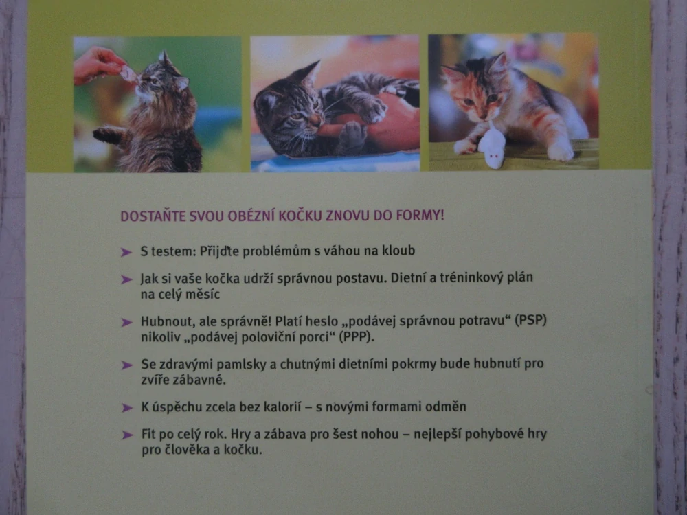 KOČKA S NADVÁHOU - JAK NA PŘEBYTEČNÁ DEKA, BRIGITTE EILERT-OVERBECK, **an
