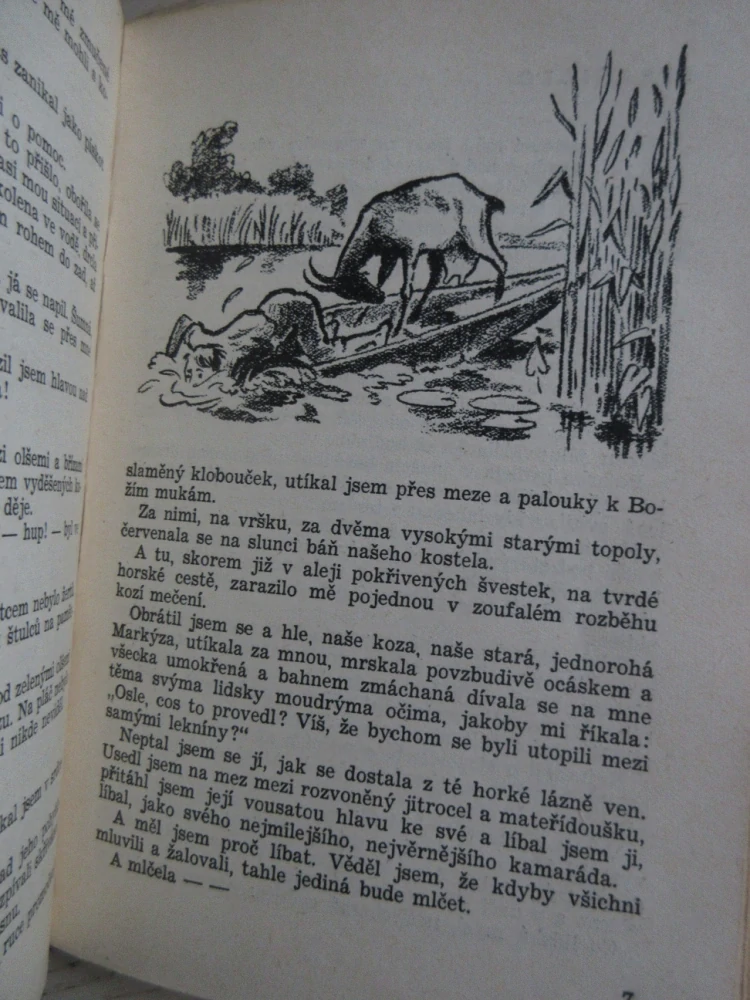 KLUK Z VESNICE A JINÉ POVÍDKY, JOSEF PAVEL, **an