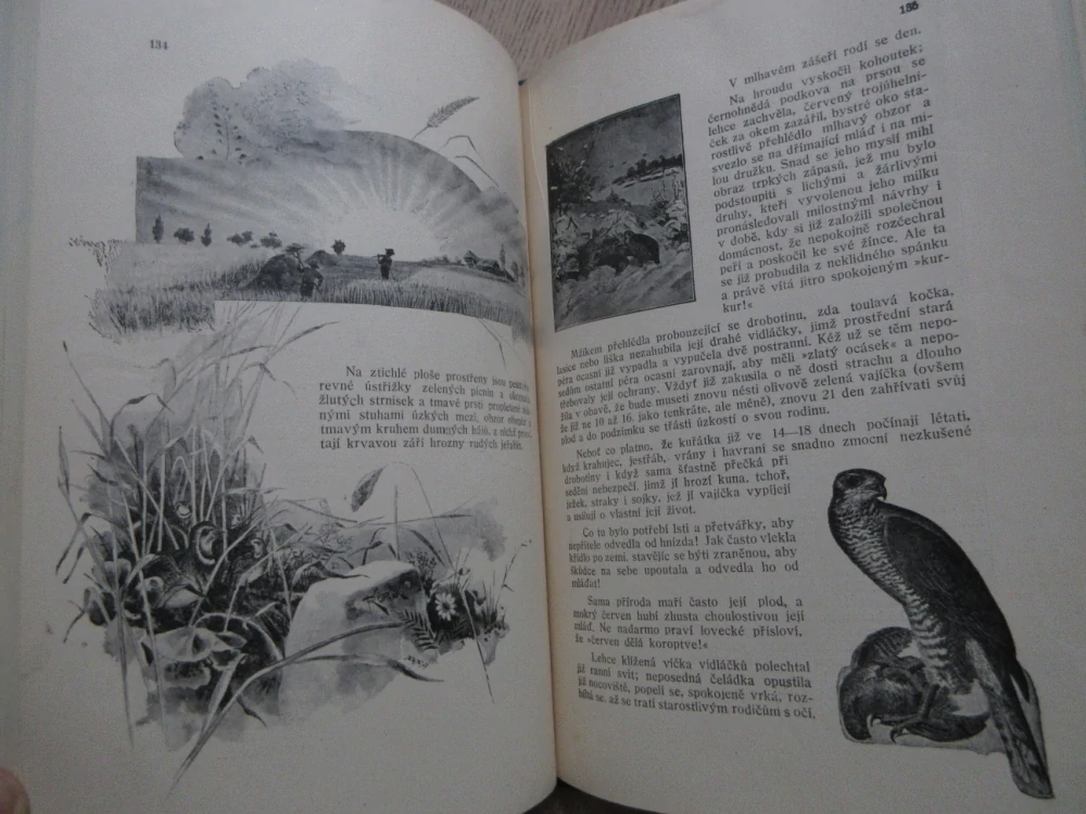 Z ČAROVNÉ PŘÍRODY, STANISLAV REINIŠ, **an