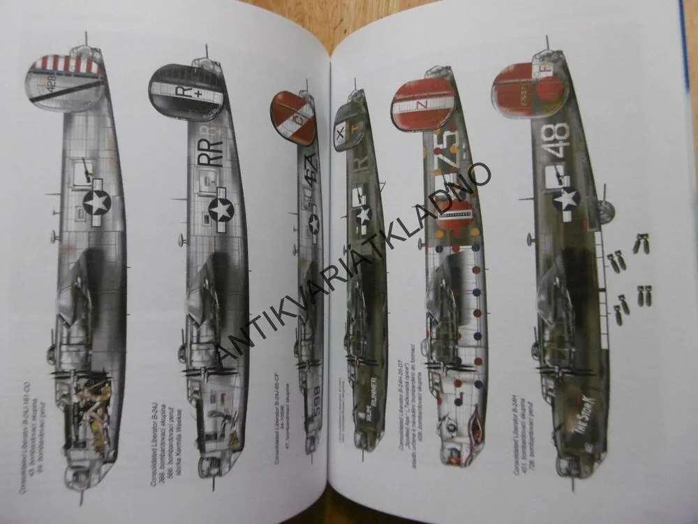 BOJOVÉ LEGENDY, B-24 LIBERATOR, BOWMAN