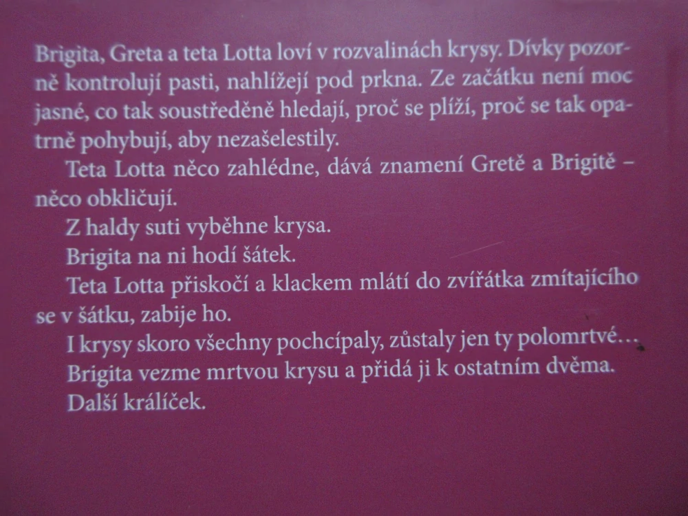 JMENUJI SE MARYTE, ALVYDAS ŠLEPIKAS, **an