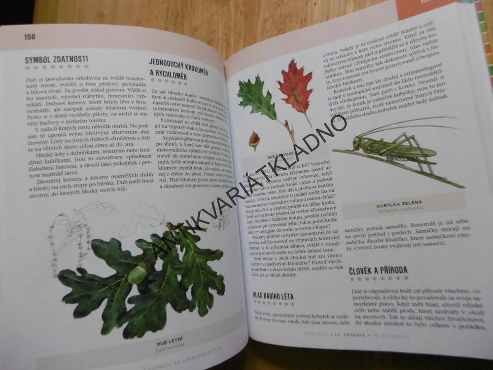VÝPRAVY ZA DOBRODRUŽSTVÍM, MILOŠ ZAPLETAL, 