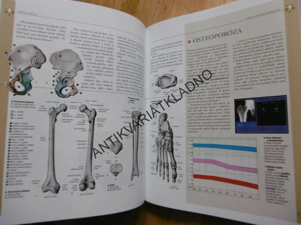 ANATOMIE, ILUSTROVANÝ ATLAS, 