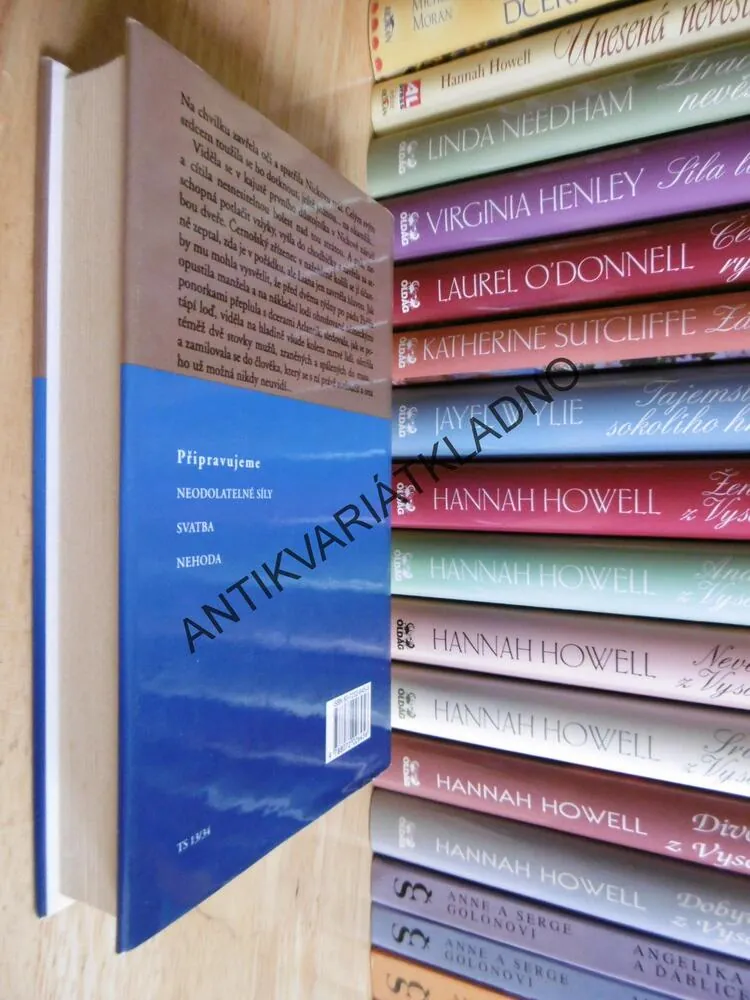 KŘIŽOVATKY, DANIELLE STEEL, **an