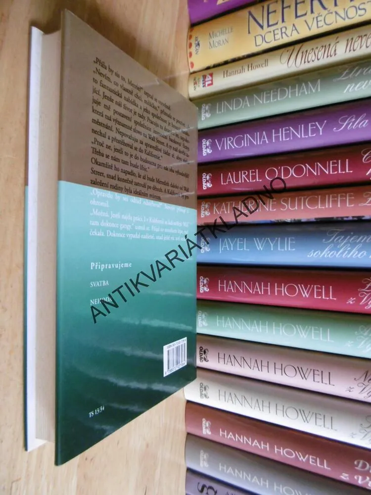 NEODOLATELNÉ SÍLY, DANIELLE STEEL, **an