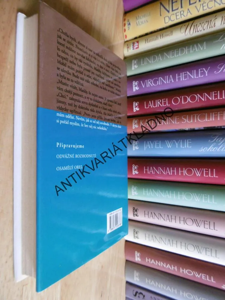 PROCITNUTÍ, DANIELLE STEEL, **an