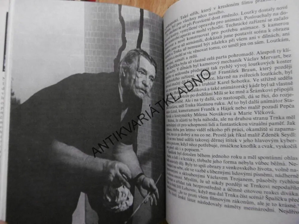 JIŘÍ TRNKA, HELENA CHVOJKOVÁ, **an