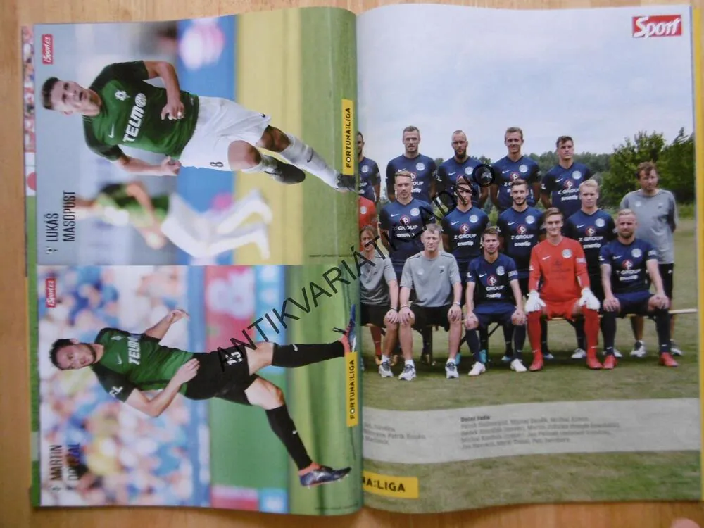 FOTBALOVÉ HVĚZDY LIGOVÉ SEZÓNY 2018/19