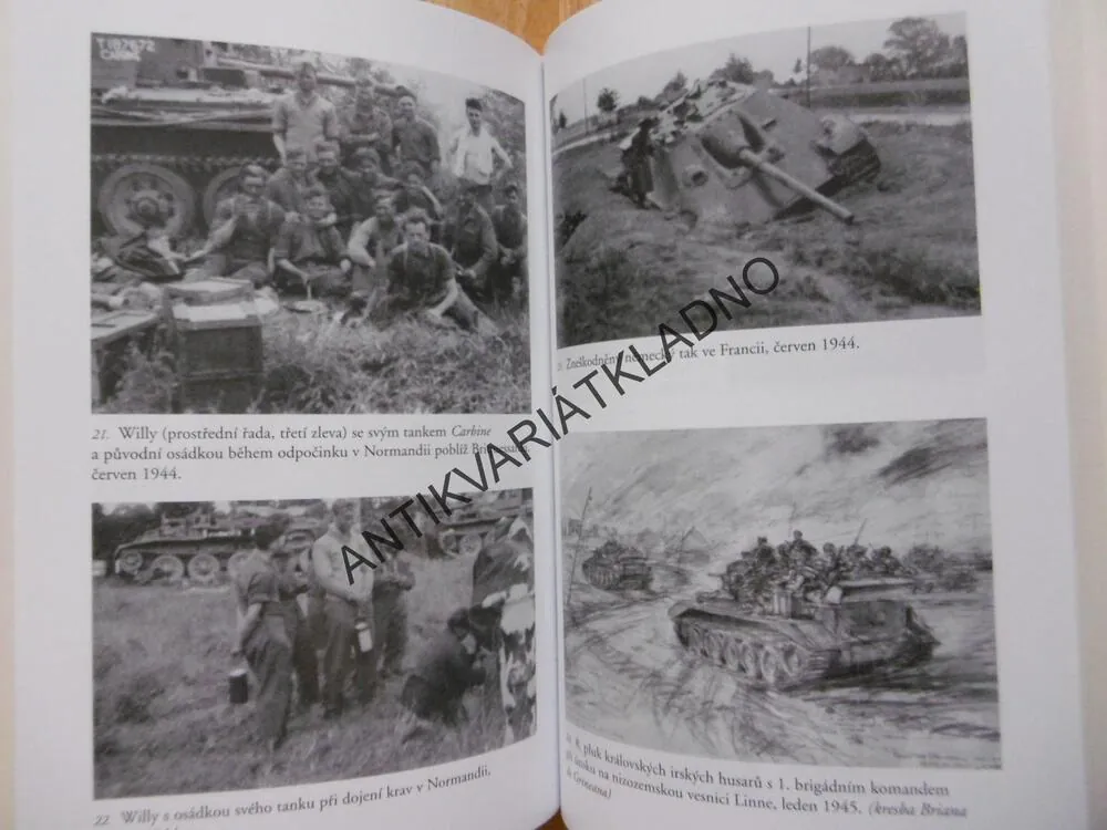 Z DACHAU DO DNE VÍTĚZSTVÍ, HELEN FRY, **an