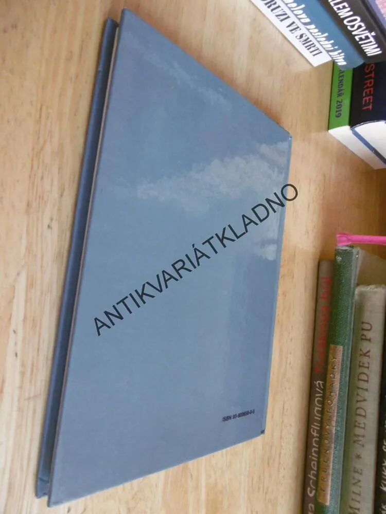 ŽÁCI KOPYTO A MŇOUK POSTRACH POSÁZAVÍ, ŠVANDRLÍK, NEPRAKTA, **an