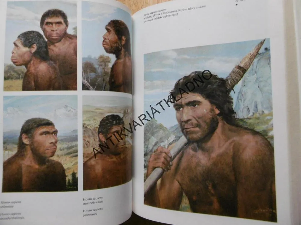 JAK VZNIKL ČLOVĚK, MAZÁK, BURIAN, SÁGA RODU HOMO, **an