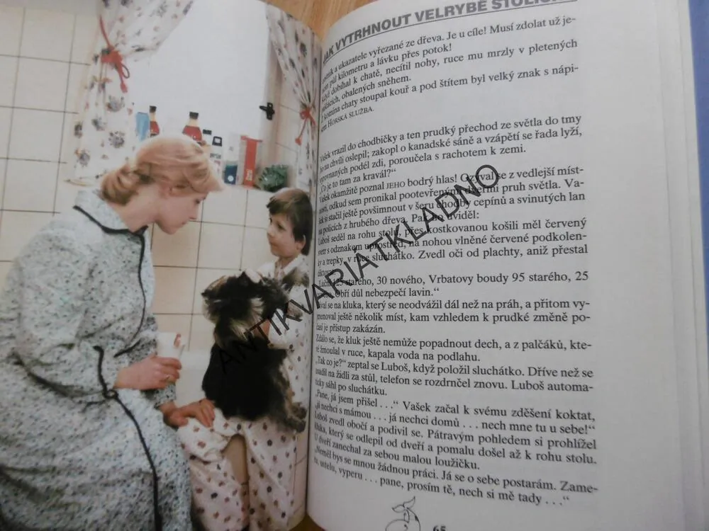 JAK VYTRHNOUT VELRYBĚ STOLIČKU, MARIE POLEDŇÁKOVÁ, STAV!!  **an