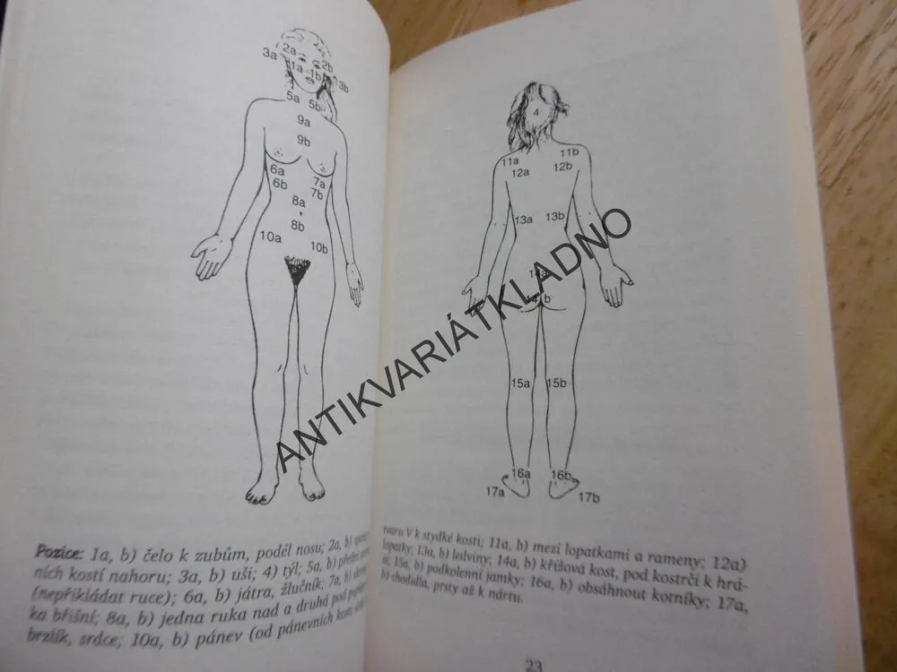 REIKI, DOMÁCÍ LÉKÁRNA, WALTER LÜBECK, **an