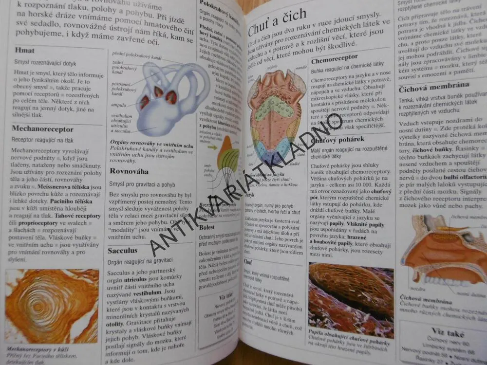 STRUČNÁ ENCYKLOPEDIE LIDSKÉHO TĚLA, BURNIE, , **an