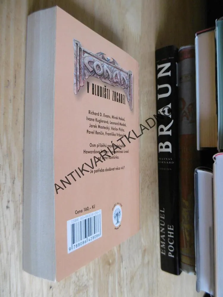 CONAN V BLUDIŠTI ZRCADEL,