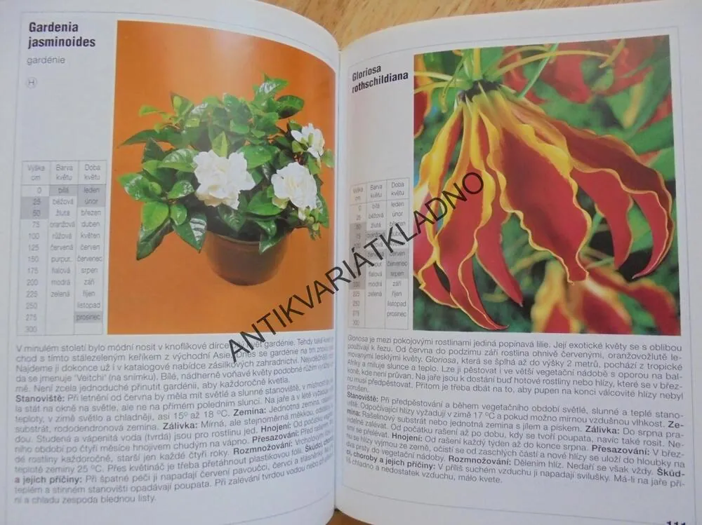 NEJKRÁSNĚJŠÍ POKOJOVÉ ROSTLINY, JAK O NĚ PEČOVAT, **an