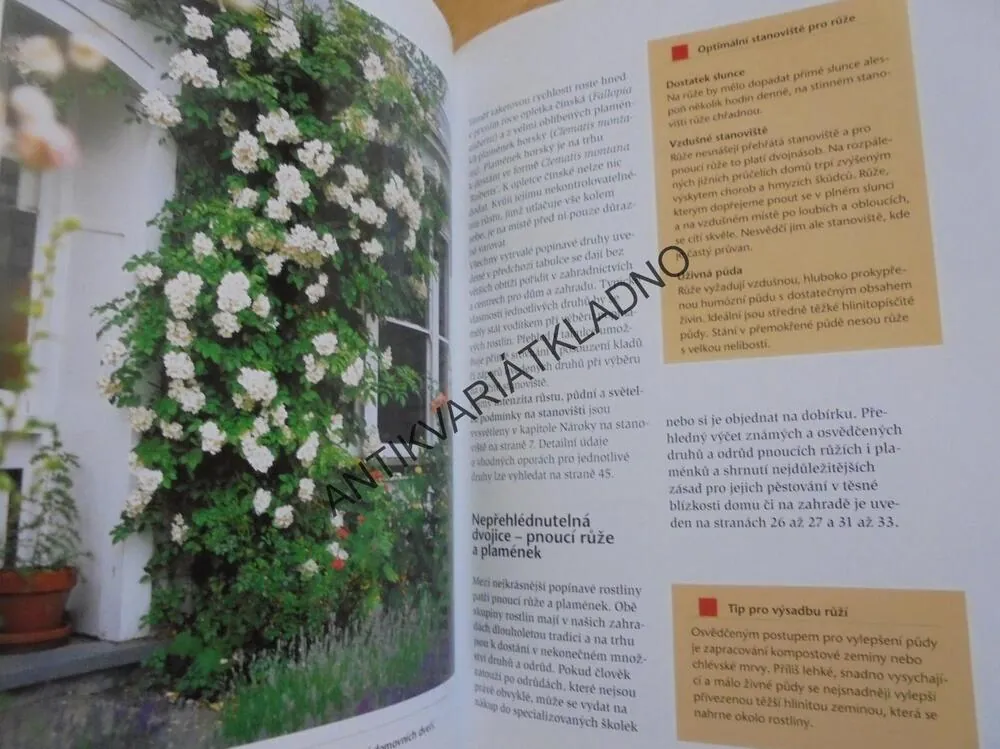 OZELENĚNÍ POPÍNAVÝMI ROSTLINAMI, FASÁDY, PERGOLY, RITA GUNKEL, **an