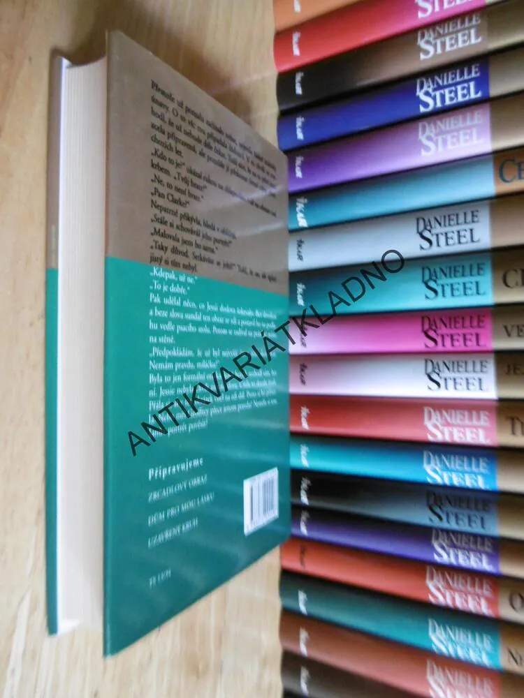 NAVŽDY SPOLU, DANIELLE STEEL