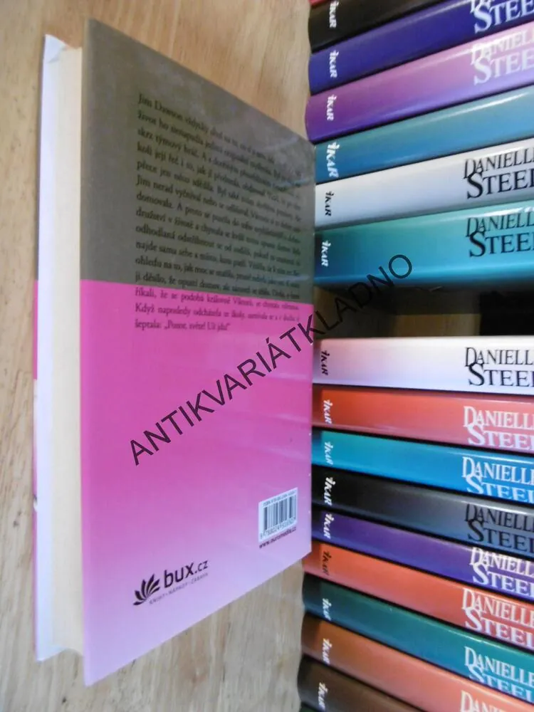 VELKÁ HOLKA, DANIELLE STEEL