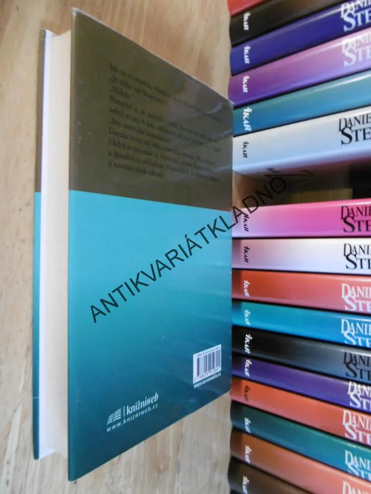 CIZÍ ŽENA, DANIELLE STEEL, **an
