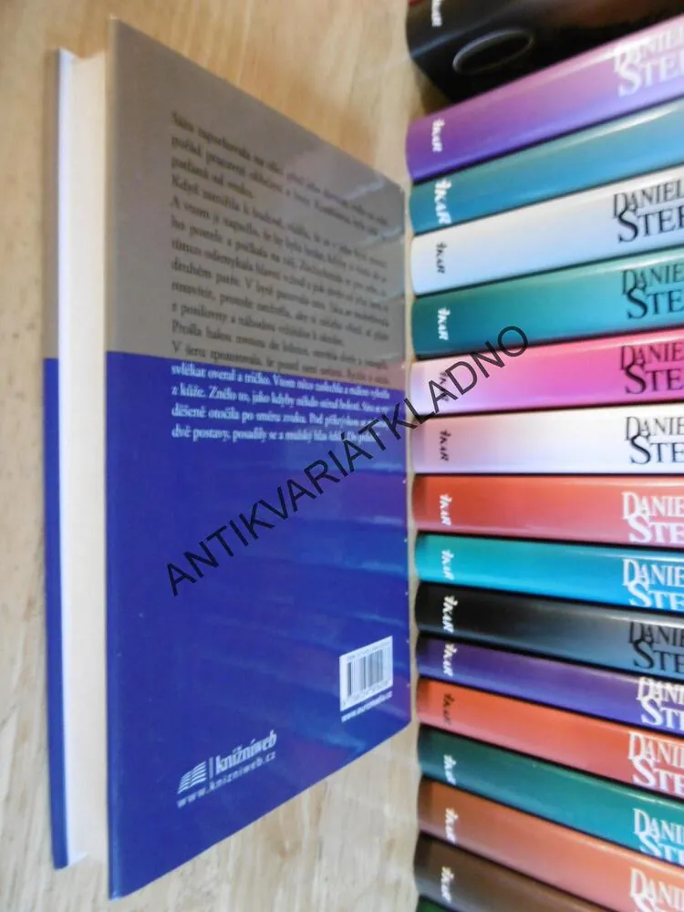 DŮM, DANIELLE STEEL, **an