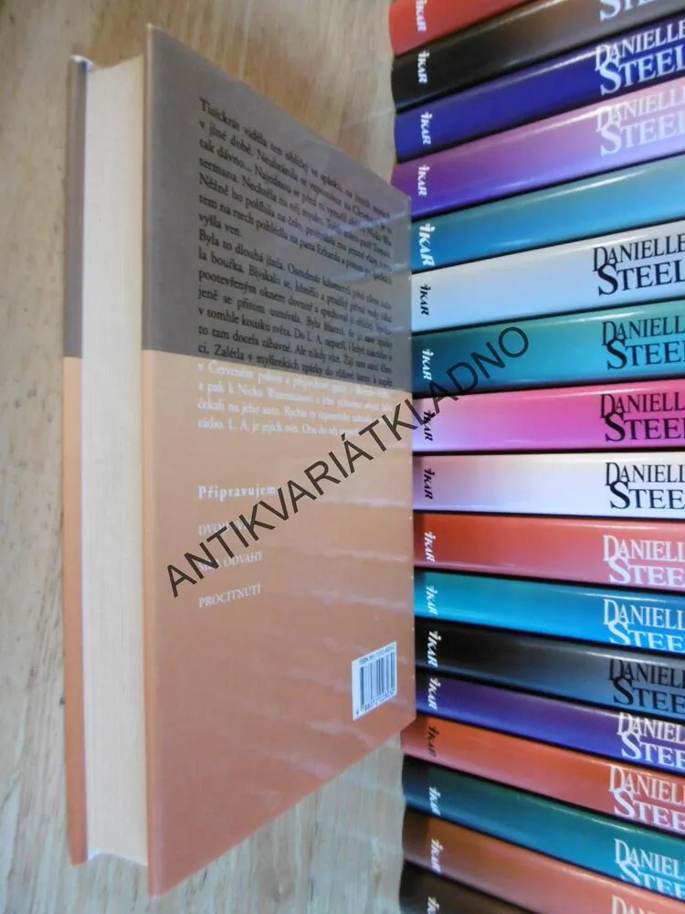 VÁŠNIVÁ SEZONA, DANIELLE STEEL, **an