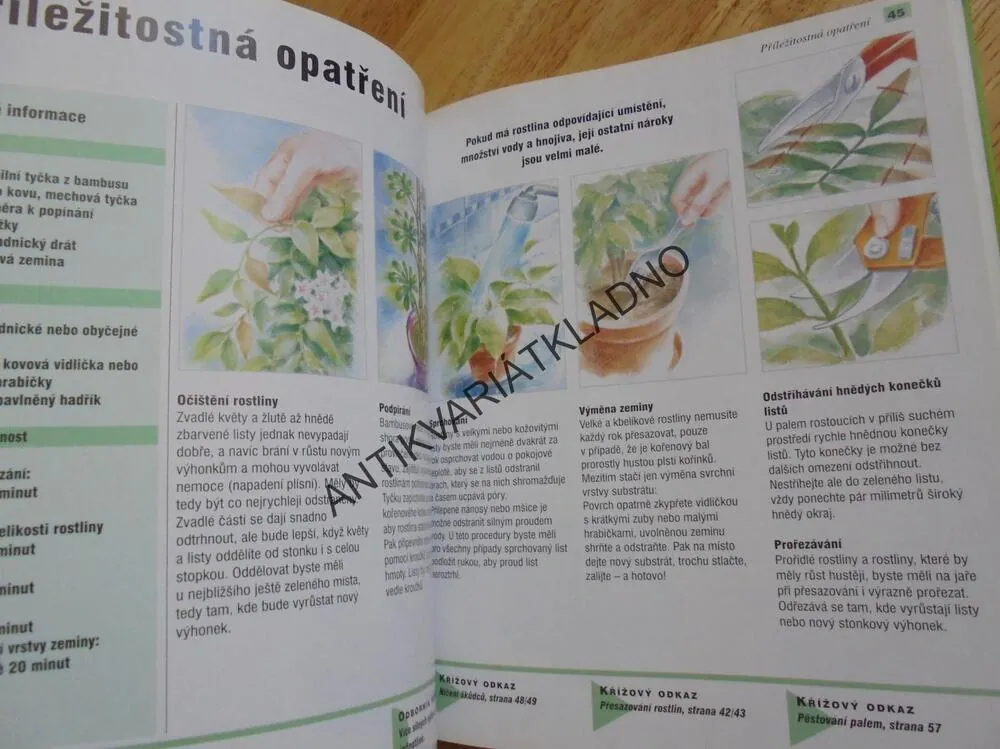 POKOJOVÉ ROSTLINY, PĚSTOVÁNÍ, VÝBĚR, NÁPAD PRO MÍSTO, **an