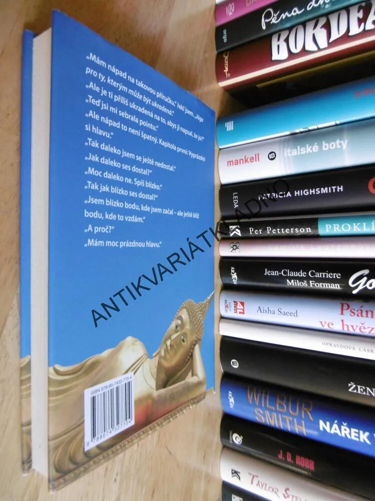 JÓGA PRO TY, KTERÝM MŮŽE BÝT UKRADENÁ, GEOFF DYER,
