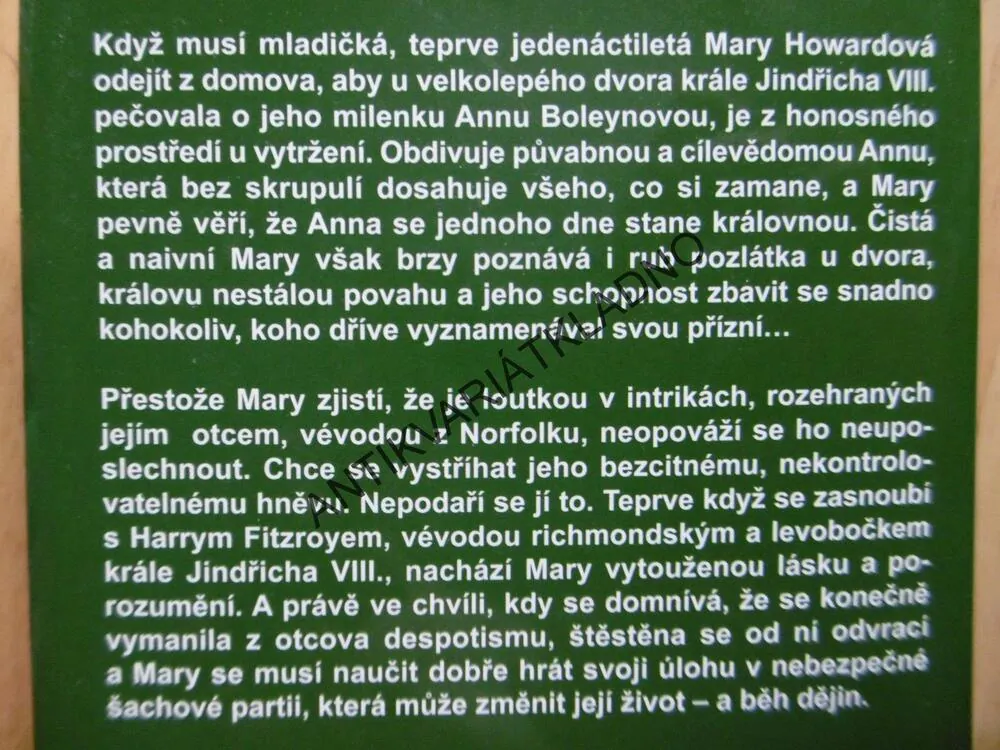 TAJEMSTVÍ TUDORSKÉHO DVORA, D.L.BOGDANOVÁ