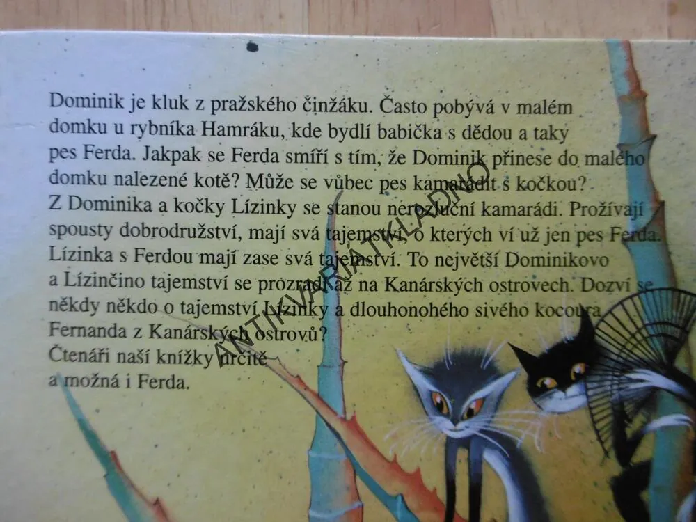 JAK SE KAMARÁDÍ S KOČKOU, AIDA BRUMOVSKÁ