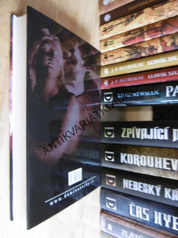 SPOLEČENSTVÍ STÍNŮ, RUTH NEWMAN