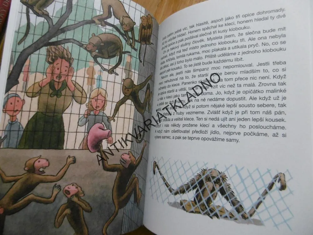 POŠTA V ZOO, ONDŘEJ SEKORA, 2007, **an