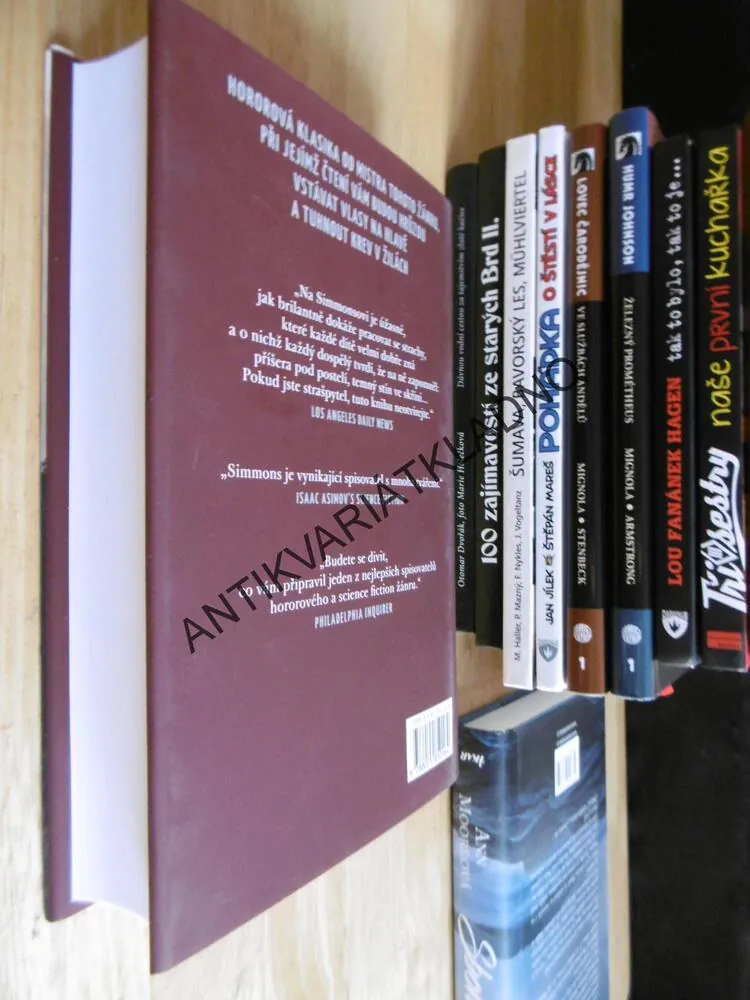 TEMNÉ LÉTO, DAN SIMMONS,