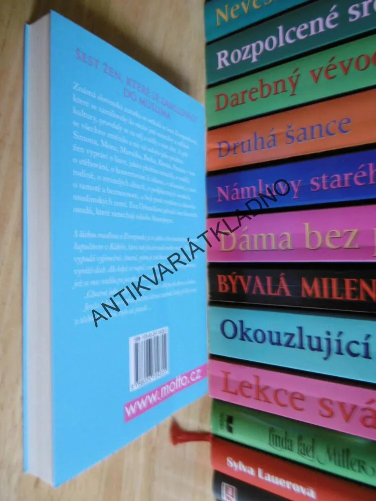 ZTRACENÉ, EVA URBANÍKOVÁ