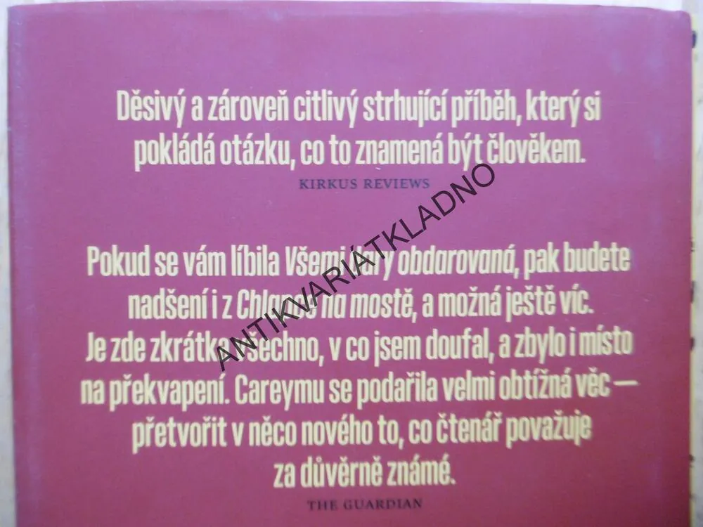 CHLAPEC NA MOSTĚ, M.R.CAREY