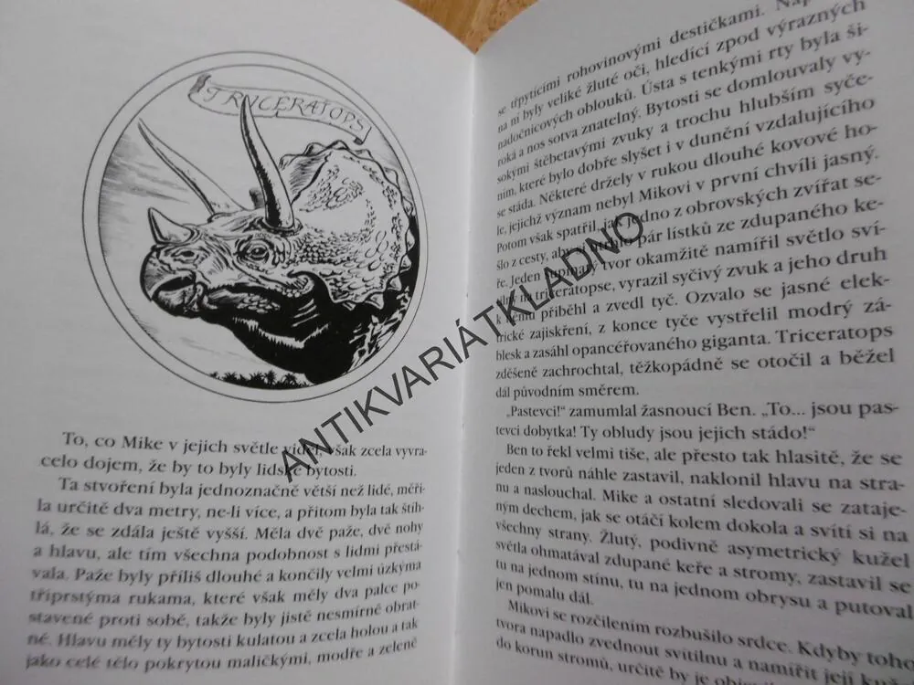 NA OSTROVĚ VELEJEŠTĚRŮ, DĚTI KAPITÁNA NEMA, WOLFGANG HOHLBEIN